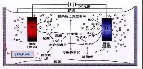 我買了一個甲醛檢測儀，吹口氣后發(fā)現(xiàn)原來我才是“地表最強(qiáng)”污染源！