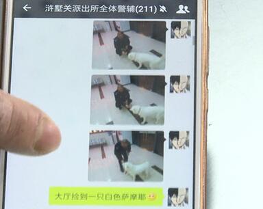 有問(wèn)題找警察，薩摩耶派出所報(bào)案，不注意這件事，對(duì)狗狗致命，警察蜀黍卻幫不上忙！