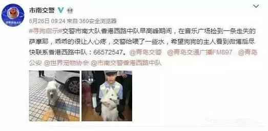有問(wèn)題找警察，薩摩耶派出所報(bào)案，不注意這件事，對(duì)狗狗致命，警察蜀黍卻幫不上忙！