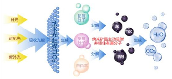 洋蔥可以除甲醛？民間流傳土方法可信嗎？