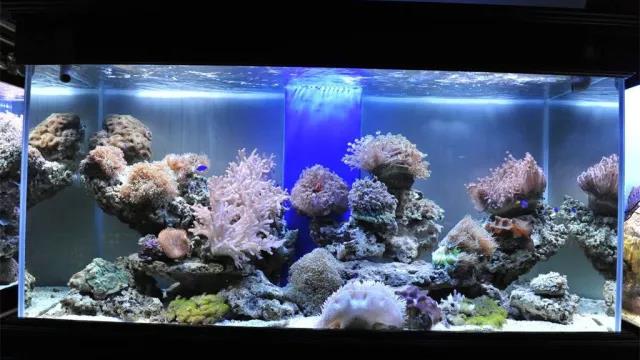 家中旺位和衰位在哪里？三分鐘學習室內(nèi)風水學