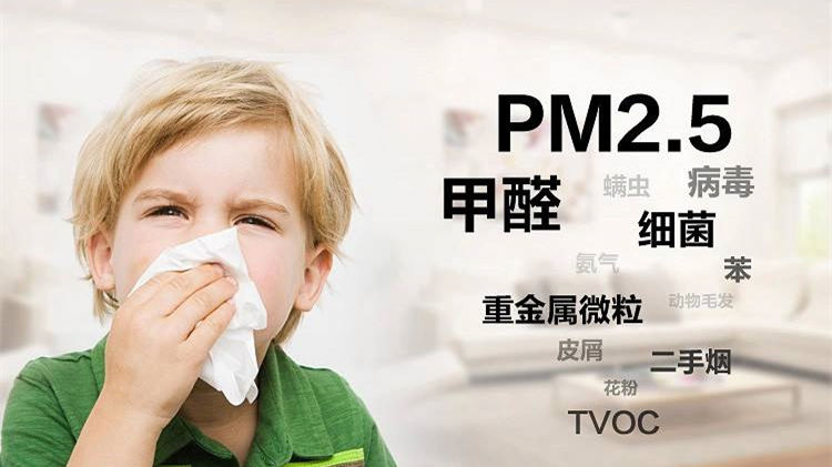 誰說二手車沒有甲醛？汽車除甲醛最有效方法告訴您