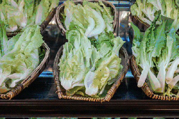 夏至高溫預(yù)警！消暑養(yǎng)生秘笈了解一下？