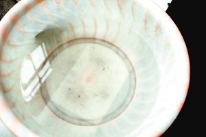 疫苗事件背后：您是否想過除甲醛產(chǎn)品也存在無效情況？