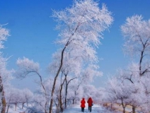 如何解決冬季室內(nèi)和車內(nèi)環(huán)境污染問題的問題呢？