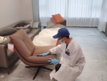 快速除醛的方法有哪些？