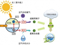 什么甲醛治理辦法效果好持續(xù)時(shí)間長(zhǎng)？