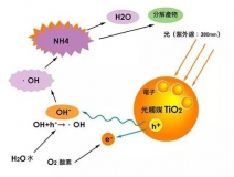 杭州除甲醛的優(yōu)效方法有哪些？