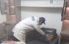 哪種方法除甲醛才是真正有效的呢？