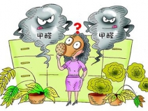 活性炭進(jìn)行甲醛治理真的有用嗎？