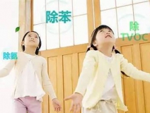 新房裝修甲醛來(lái)自哪里？