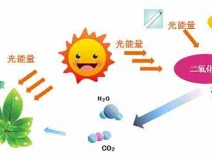 家中甲醛超標，什么才是甲醛治理的正確姿勢？