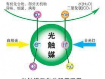 您知道或者聽說過光觸媒嗎？