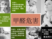 哪些綠植可以除甲醛？