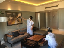 如何去除車內(nèi)甲醛和異味，汽車甲醛治理方法優(yōu)劣分析！