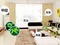 網(wǎng)上的除甲醛好辦法真的有效嗎？原理是什么
