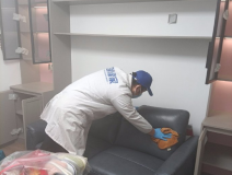 哪種方法除甲醛才是真正有效的呢？