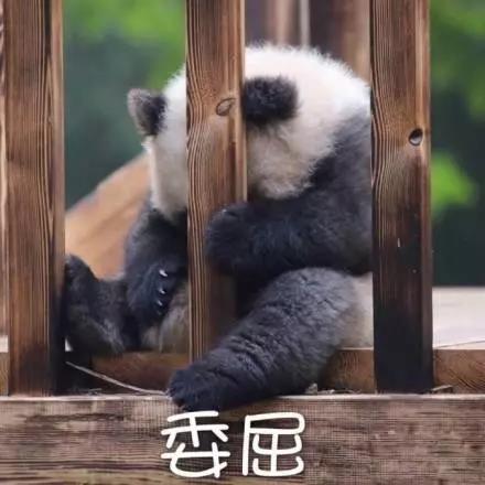 別大意！七大除甲醛“誤區(qū)”，信了你反而會(huì)生病！通風(fēng)、綠植、活性炭、熏蒸……你中招了嗎？