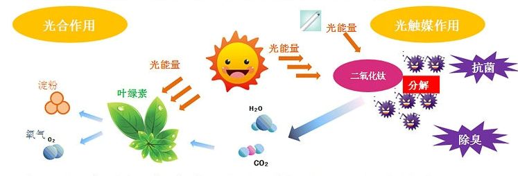 光觸媒去除房間甲醛爭議很大？
